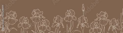 Seamless horizontal border with iris flowers. Vector illustration.
