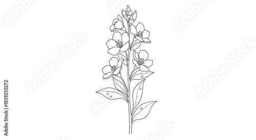 Wallpaper Mural Delicate wildflower stalk with blooming flowers and leaves is rendered in a clean black and white line art style for coloring. Torontodigital.ca