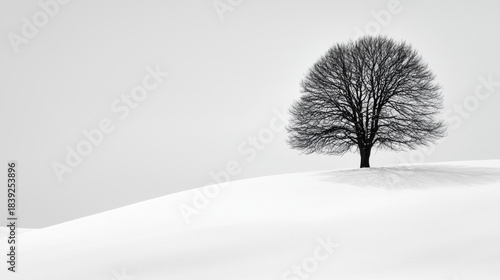 Christmas minimal landscape with single bare tree on snowy hill under calm winter sky evoking peaceful solitude