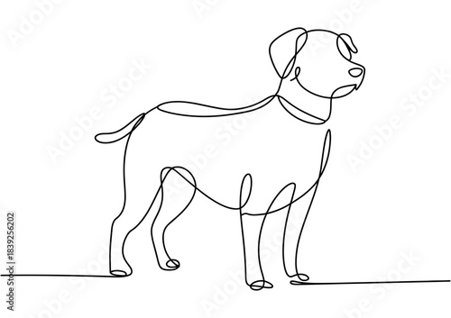 Minimalist single line drawing of a standing dog with a collar, representing canine companionship and simplicity.