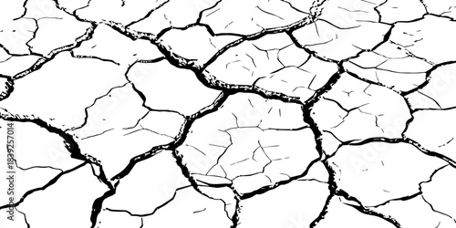 High-resolution cracked dry soil texture with intricate fracture patterns, natural organic lines, monochrome design ideal for backgrounds, geology themes, environmental concepts and compositions.