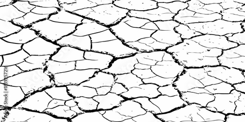 High-resolution cracked dry soil texture with intricate fracture patterns, natural organic lines, monochrome design ideal for backgrounds, geology themes, environmental concepts and compositions.
