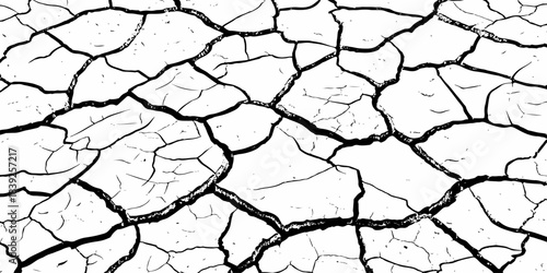 High-resolution cracked dry soil texture with intricate fracture patterns, natural organic lines, monochrome design ideal for backgrounds, geology themes, environmental concepts and compositions.