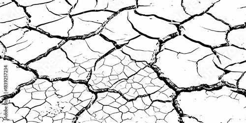 High-resolution cracked dry soil texture with intricate fracture patterns, natural organic lines, monochrome design ideal for backgrounds, geology themes, environmental concepts and compositions.