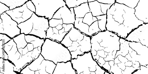 High-resolution cracked dry soil texture with intricate fracture patterns, natural organic lines, monochrome design ideal for backgrounds, geology themes, environmental concepts and compositions.