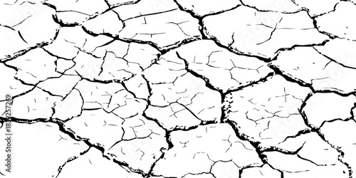 High-resolution cracked dry soil texture with intricate fracture patterns, natural organic lines, monochrome design ideal for backgrounds, geology themes, environmental concepts and compositions.