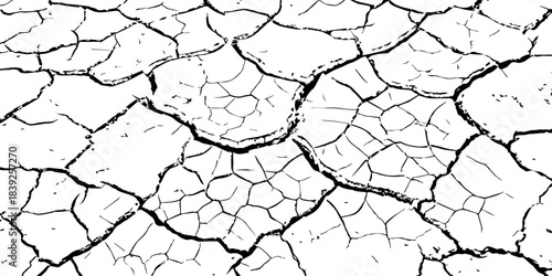 High-resolution cracked dry soil texture with intricate fracture patterns, natural organic lines, monochrome design ideal for backgrounds, geology themes, environmental concepts and compositions.