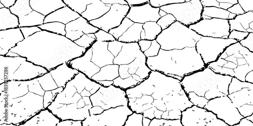 High-resolution cracked dry soil texture with intricate fracture patterns, natural organic lines, monochrome design ideal for backgrounds, geology themes, environmental concepts and compositions.