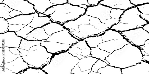 High-resolution cracked dry soil texture with intricate fracture patterns, natural organic lines, monochrome design ideal for backgrounds, geology themes, environmental concepts and compositions.