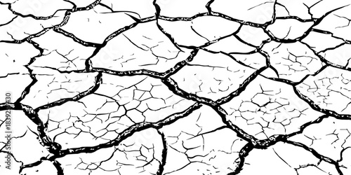 High-resolution cracked dry soil texture with intricate fracture patterns, natural organic lines, monochrome design ideal for backgrounds, geology themes, environmental concepts and compositions.