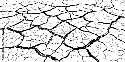 High-resolution cracked dry soil texture with intricate fracture patterns, natural organic lines, monochrome design ideal for backgrounds, geology themes, environmental concepts and compositions.
