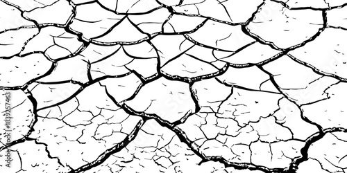 High-resolution cracked dry soil texture with intricate fracture patterns, natural organic lines, monochrome design ideal for backgrounds, geology themes, environmental concepts and compositions.