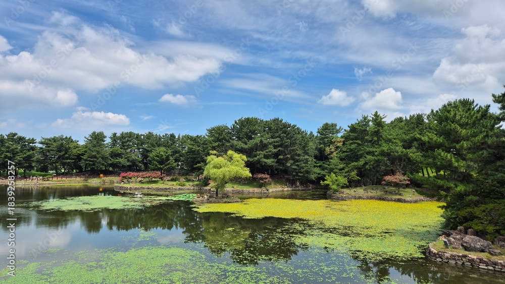 Obraz premium Historic Palace Pond at Night with Reflections — Traditional Korean Architecture