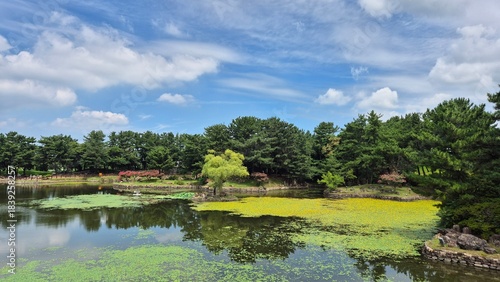 Historic Palace Pond at Night with Reflections — Traditional Korean Architecture