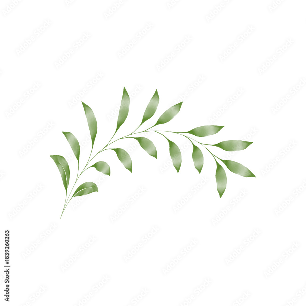 Fototapeta premium Watercolor olive branch with green leaves and stem isolated on a transparent background