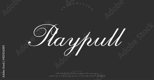 A playful and modern script font with fun, quirky characters. Great for informal invitations, advertising, and children’s projects.