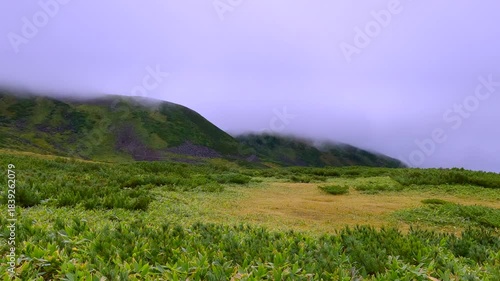 車の窓から見える綺麗な景色