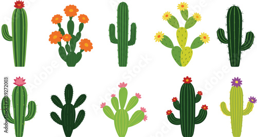 Vector Collection of Ten Different Cactus Plants with Flowers, Pads, and Spines, Ideal for Desert Flora, Succulents, Western Themes, and Botanical Garden Concepts