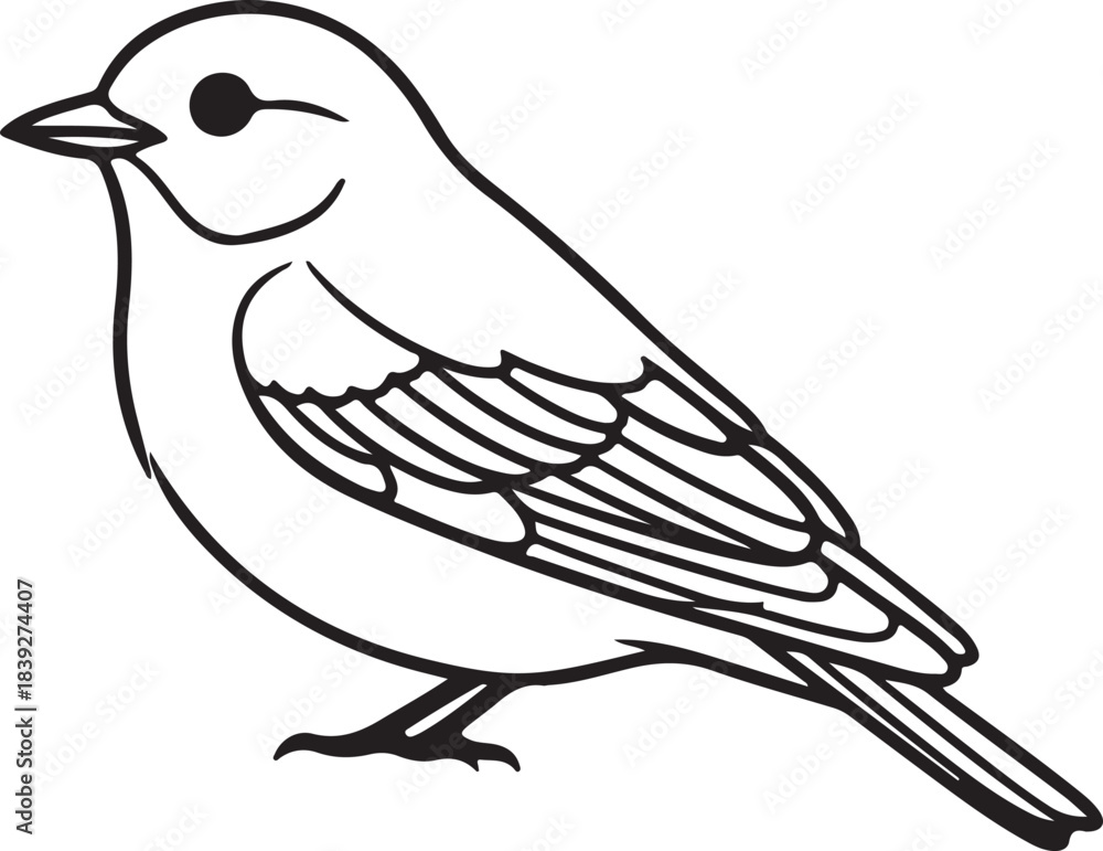 Fototapeta premium Minimalist Black and White Ping Bird Icon – Stylized Line Art for Nature, Education, and Design Projects