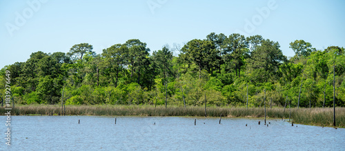 Armand Bayou Nature Center in Pasadena, Texas