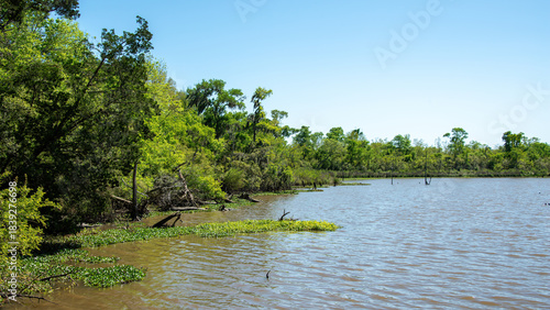 Armand Bayou Nature Center in Pasadena, Texas