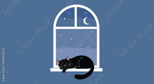 A cute black cat sleeps peacefully on a windowsill at night with a starry sky and moon visible through the window.