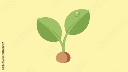 A simple flat illustration of a young green plant sprout with two leaves and a brown root, featuring a single water droplet on one leaf, set against a light yellow background.