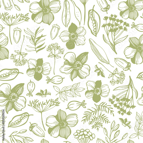Floral background. Seamless vector pattern with hand-drawn flowers.