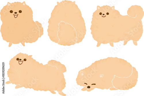 いろいろなポーズのポメラニアンのイラストセット
