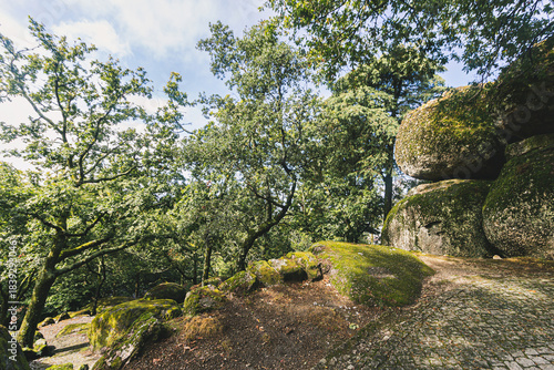 Mossy Forest Path and Ancient Granite Boulders
