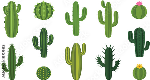 Cute Cactus Succulent Plant Desert Flat Icon Set
