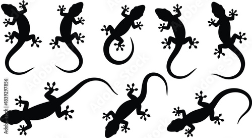 Gecko and Lizard Silhouette Collection Vector Set, Detailed Reptile Animal Graphics for Wildlife, Zoo, Terrarium, or Tropical Nature Design Elements, Small Black Climbing Reptiles, Tropical Fauna I.