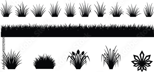 Grass silhouette vector set, black and white illustrations of bushes, reeds, border, and plants, decorative elements for garden or nature design, organic.