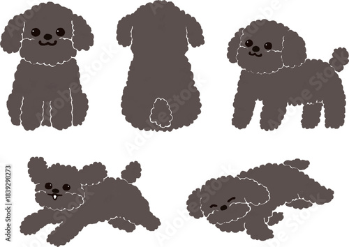 いろいろなポーズのトイプードル（黒）のイラストセット
