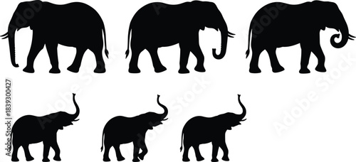 Large Vector Collection of Powerful Eagle and Hawk Bird Silhouettes in Various Poses, including Flying, Gliding, and Perching, Perfect for Wildlife Vector Illustrations and Outdoors Graphics