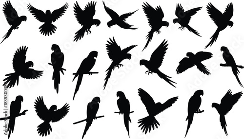 Collection of black parrot silhouettes in various flying and perched poses macaw white background