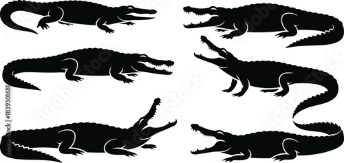 Six black alligator silhouettes in various poses on a white background crocodile reptile
