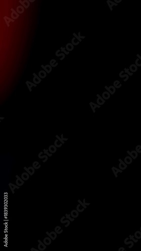 Vertical camera photo flash. Use the Vertical Light Flash Transition for dynamic social stories.