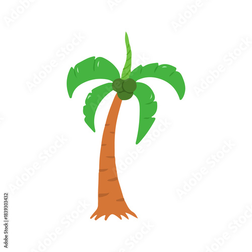Tropical Coconut Palm Tree Hand Drawn