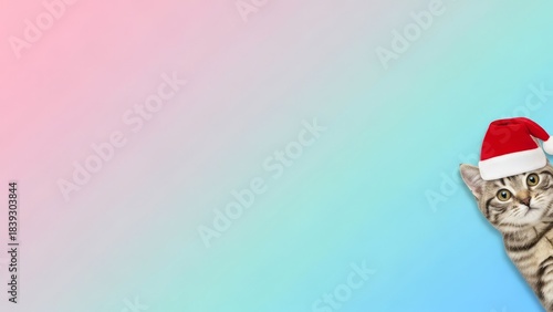 Cute Kitten Wearing Santa Hat Peeking from Corner, Christmas Holiday Theme
