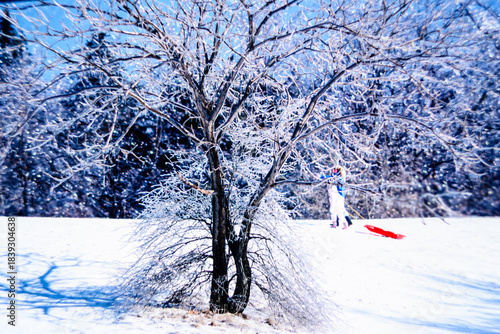 Adult and child with red sled, on a hill covered with snow and trees covered in freezing rain