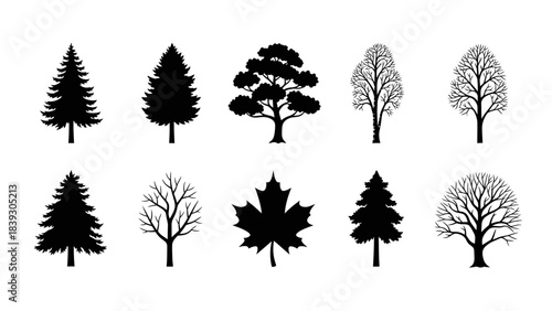 Collection of Various Tree Silhouettes Featuring Different Tree Shapes and Types in Black and White