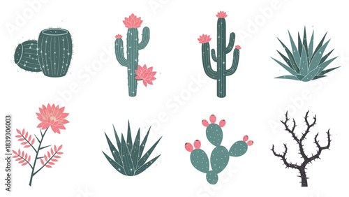 Stylized desert cacti and succulent illustrations in a modern flat design style with minimal color