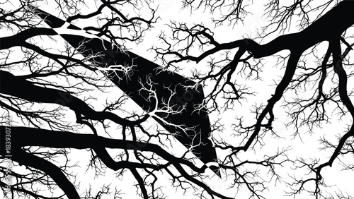 Abstract tree branches silhouette, dramatic winter limb pattern, dense forest canopy artwork, organic tangled lines, nature illustration for backgrounds and textures