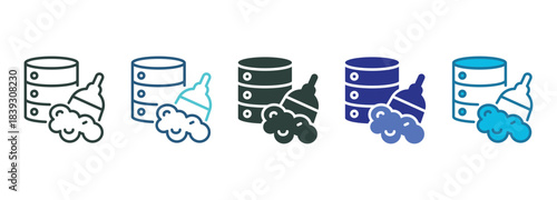 Data Clean Icon Set Multiple Style Of