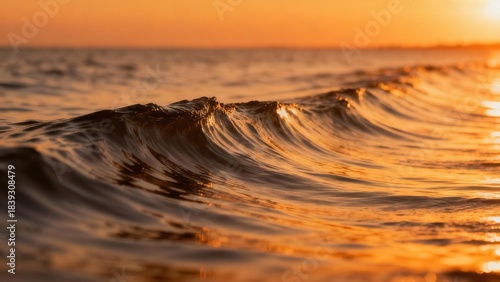 Golden hour sun illuminates the crest of a dark ocean wave rolling gently toward the shoreline.