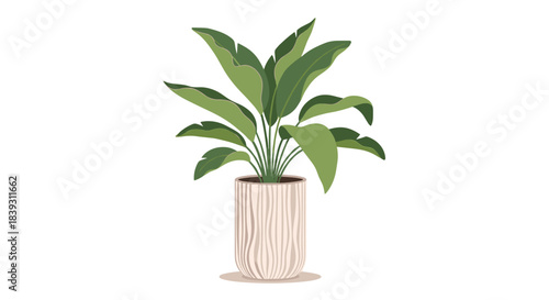 An elegant indoor houseplant with large green leaves flourishes inside a contemporary beige ceramic pot with a striped texture.