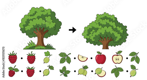A children's educational game asks to sort fruits and leaves by matching them to the correct tree either raspberry or apple.