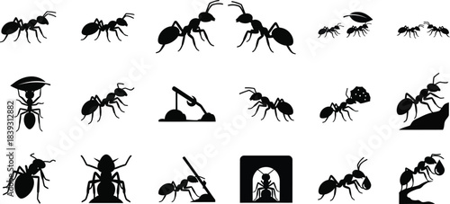 Collection of various ant silhouettes and illustrations