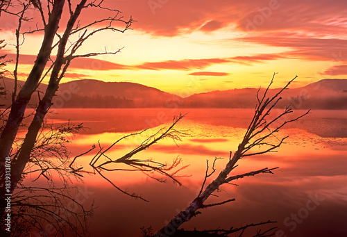 colorful sunrise on buck pond in the adirondack mountains of New York in vivid colors, with fallen tree branches and shoreline mountain reflection